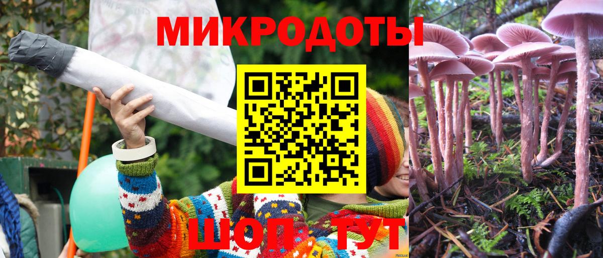 Галлюциногенные грибы GOLDEN TEACHER  Вход с VPN  сколько стоит  Волжский 