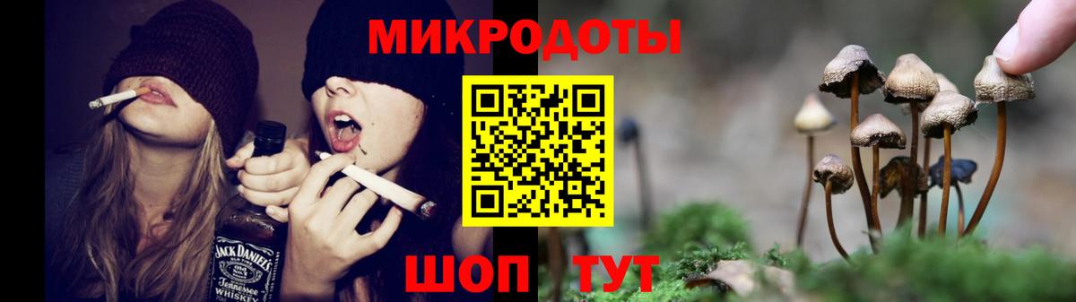 Псилоцибиновые грибы Cubensis Волжский